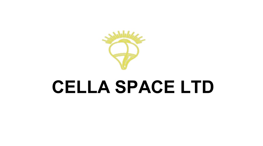 Cella Space Ltd Q4 FY25 profit at Rs. 55.06 lakhs